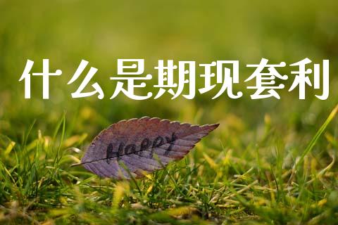 什么是期现套利_https://www.gongyisiwang.com_期货公司手续费排名_第1张