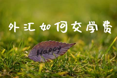 外汇如何交学费_https://www.gongyisiwang.com_广发期货手续费_第1张