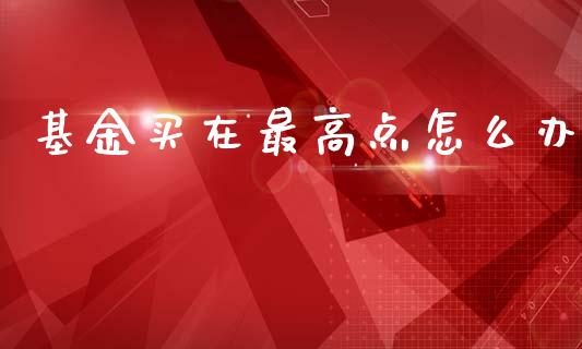 基金买在最高点怎么办_https://www.gongyisiwang.com_原油期货_第1张