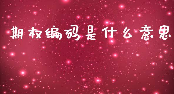 期权编码是什么意思_https://www.gongyisiwang.com_原油期货_第1张