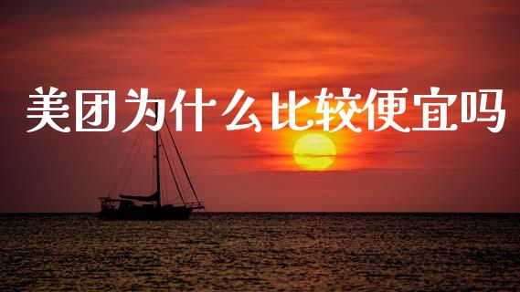 美团为什么比较便宜吗_https://www.gongyisiwang.com_股指期货交易手续费_第1张
