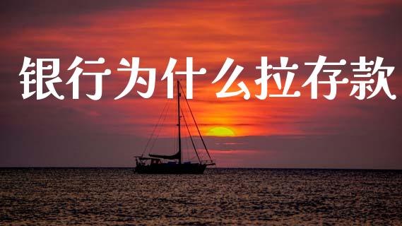 银行为什么拉存款_https://www.gongyisiwang.com_股指期货交易手续费_第1张