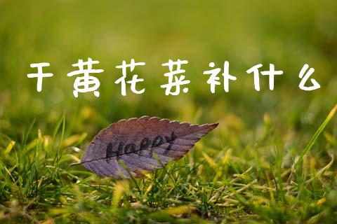 干黄花菜补什么_https://www.gongyisiwang.com_股指期货_第1张