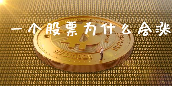 一个股票为什么会涨_https://www.gongyisiwang.com_股指期货_第1张