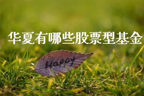 华夏有哪些股票型基金_https://www.gongyisiwang.com_焦炭期货手续费_第1张