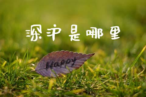 深沪是哪里_https://www.gongyisiwang.com_股指期货_第1张