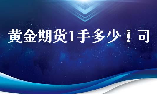 黄金期货1手多少盎司_https://www.gongyisiwang.com_股指期货_第1张