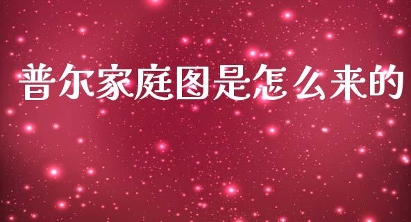 普尔家庭图是怎么来的_https://www.gongyisiwang.com_股指期货交易手续费_第1张