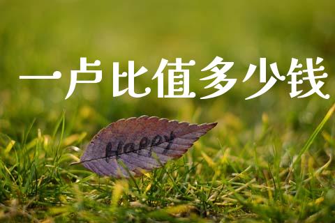 一卢比值多少钱_https://www.gongyisiwang.com_期货公司手续费排名_第1张