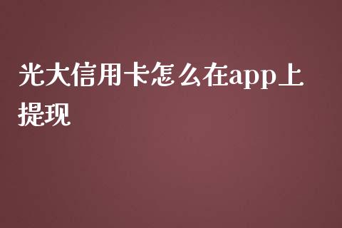 光大信用卡怎么在app上提现_https://www.gongyisiwang.com_道指_第1张