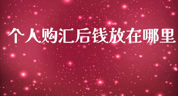 个人购汇后钱放在哪里_https://www.gongyisiwang.com_原油期货_第1张