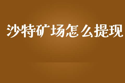 沙特矿场怎么提现_https://www.gongyisiwang.com_焦炭期货手续费_第1张