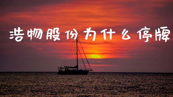 浩物股份为什么停牌_https://www.gongyisiwang.com_期货公司手续费排名_第1张