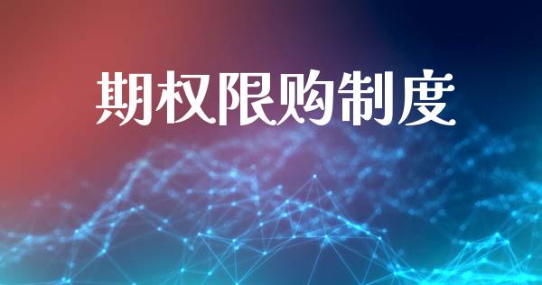期权限购制度_https://www.gongyisiwang.com_广发期货手续费_第1张