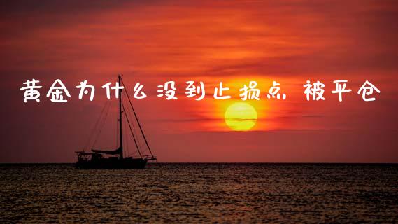黄金为什么没到止损点 被平仓_https://www.gongyisiwang.com_期货公司手续费排名_第1张