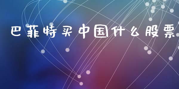 巴菲特买中国什么股票_https://www.gongyisiwang.com_道指_第1张