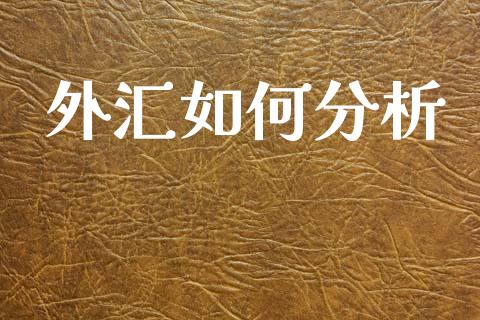 外汇如何分析_https://www.gongyisiwang.com_股指期货交易手续费_第1张