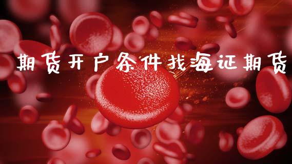 期货开户条件找海证期货_https://www.gongyisiwang.com_广发期货手续费_第1张