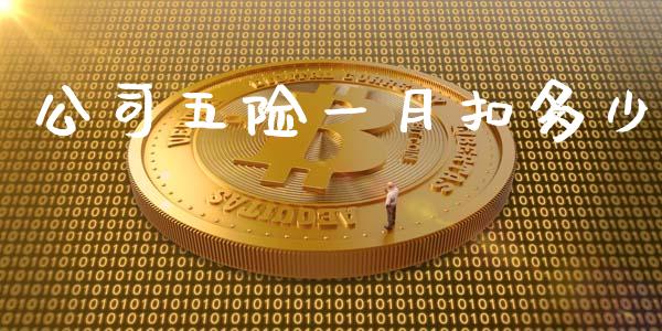 公司五险一月扣多少_https://www.gongyisiwang.com_焦炭期货手续费_第1张