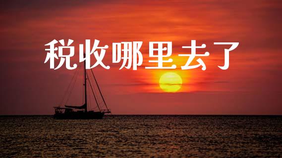 税收哪里去了_https://www.gongyisiwang.com_股指期货交易手续费_第1张