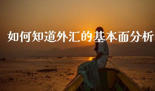 如何知道外汇的基本面分析_https://www.gongyisiwang.com_原油期货_第1张