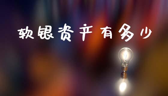 软银资产有多少_https://www.gongyisiwang.com_焦炭期货手续费_第1张
