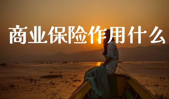 商业保险作用什么_https://www.gongyisiwang.com_原油期货_第1张