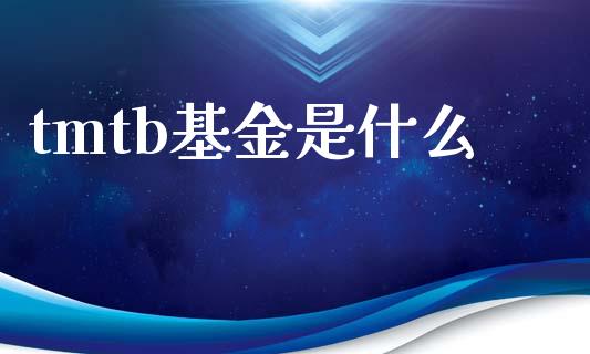 tmtb基金是什么_https://www.gongyisiwang.com_恒指期货_第1张