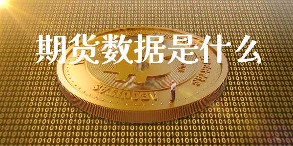 期货数据是什么_https://www.gongyisiwang.com_期货公司手续费排名_第1张