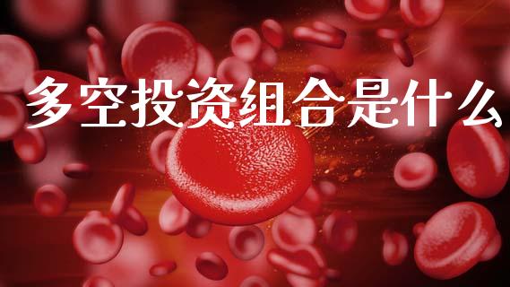 多空投资组合是什么_https://www.gongyisiwang.com_焦炭期货手续费_第1张