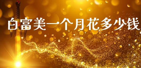 白富美一个月花多少钱_道指_第1张_股指期货交易手续费_广发期货手续费_期货公司手续费排名_焦炭期货手续费 白富美一个月花多少钱_https://www.gongyisiwang.com_道指_第1张