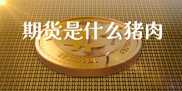 期货是什么猪肉_https://www.gongyisiwang.com_道指_第1张