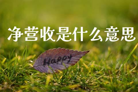 净营收是什么意思_https://www.gongyisiwang.com_股指期货_第1张