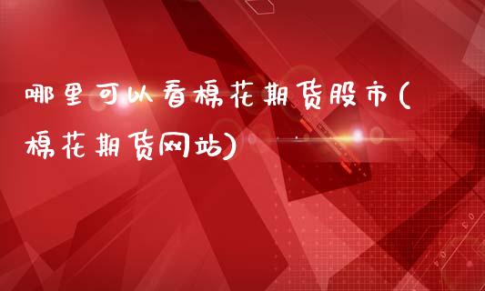 哪里可以看棉花期货股市(棉花期货网站)_https://www.gongyisiwang.com_期货公司手续费排名_第1张
