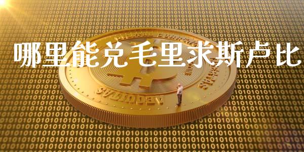 哪里能兑毛里求斯卢比_https://www.gongyisiwang.com_期货公司手续费排名_第1张