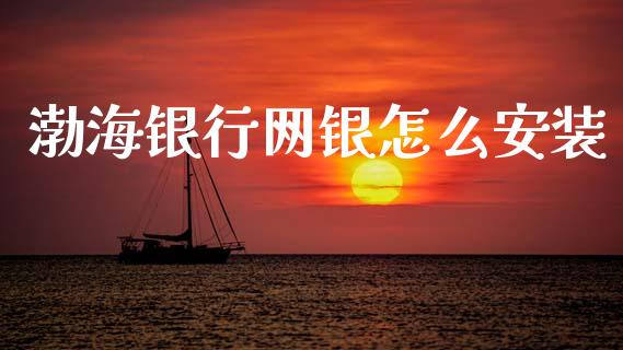 渤海银行网银怎么安装_https://www.gongyisiwang.com_股指期货交易手续费_第1张
