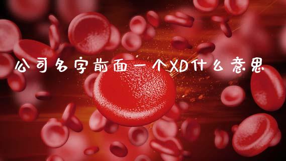 公司名字前面一个XD什么意思_https://www.gongyisiwang.com_广发期货手续费_第1张