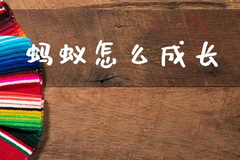蚂蚁怎么成长_https://www.gongyisiwang.com_期货公司手续费排名_第1张