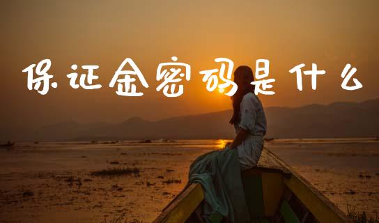 保证金密码是什么_https://www.gongyisiwang.com_焦炭期货手续费_第1张