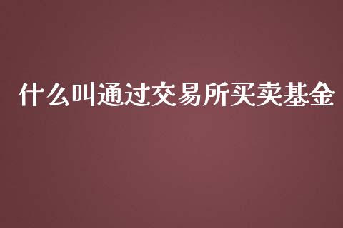什么叫通过交易所买卖基金_https://www.gongyisiwang.com_股指期货交易手续费_第1张