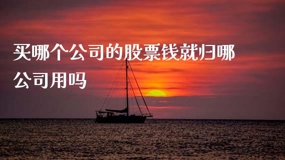 买哪个公司的股票钱就归哪公司用吗_https://www.gongyisiwang.com_股指期货_第1张