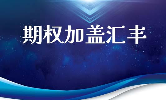 期权加盖汇丰_https://www.gongyisiwang.com_原油期货_第1张