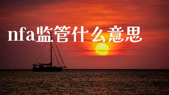 nfa监管什么意思_https://www.gongyisiwang.com_原油期货_第1张