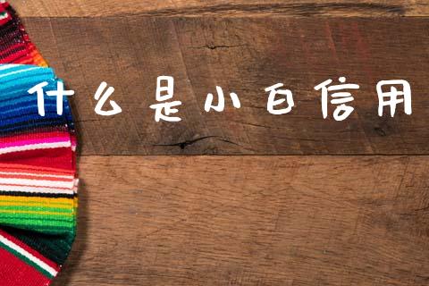 什么是小白信用_https://www.gongyisiwang.com_股指期货_第1张