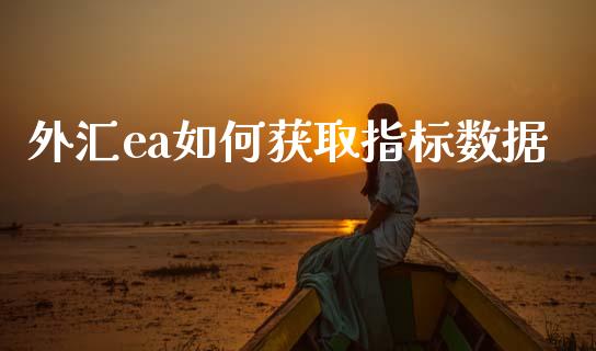 外汇ea如何获取指标数据_https://www.gongyisiwang.com_股指期货_第1张