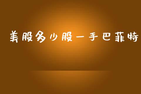 美股多少股一手巴菲特_https://www.gongyisiwang.com_原油期货_第1张