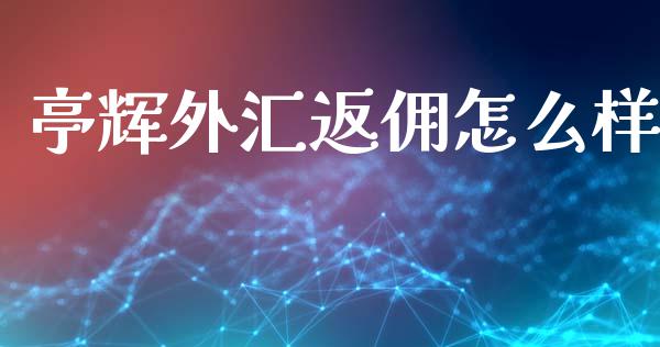 亭辉外汇返佣怎么样_https://www.gongyisiwang.com_广发期货手续费_第1张