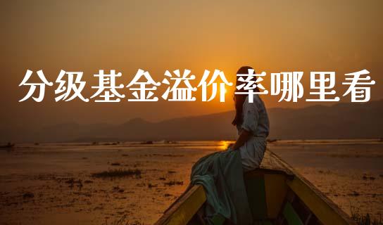 分级基金溢价率哪里看_https://www.gongyisiwang.com_股指期货交易手续费_第1张