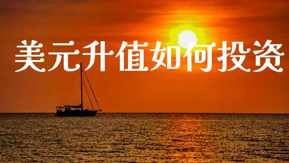 美元升值如何投资_https://www.gongyisiwang.com_道指_第1张