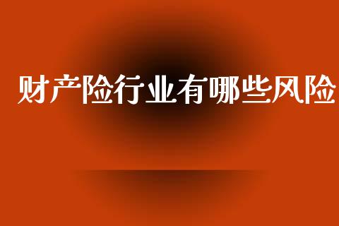 财产险行业有哪些风险_https://www.gongyisiwang.com_恒指期货_第1张